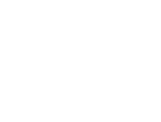 Altmayer white logo